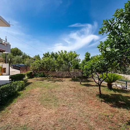 Guest house Ylli Gjika *
